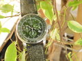 Zelené hodinky Zeppelin 8680-4 s unikátnym remienkom, chronografom a alarmom